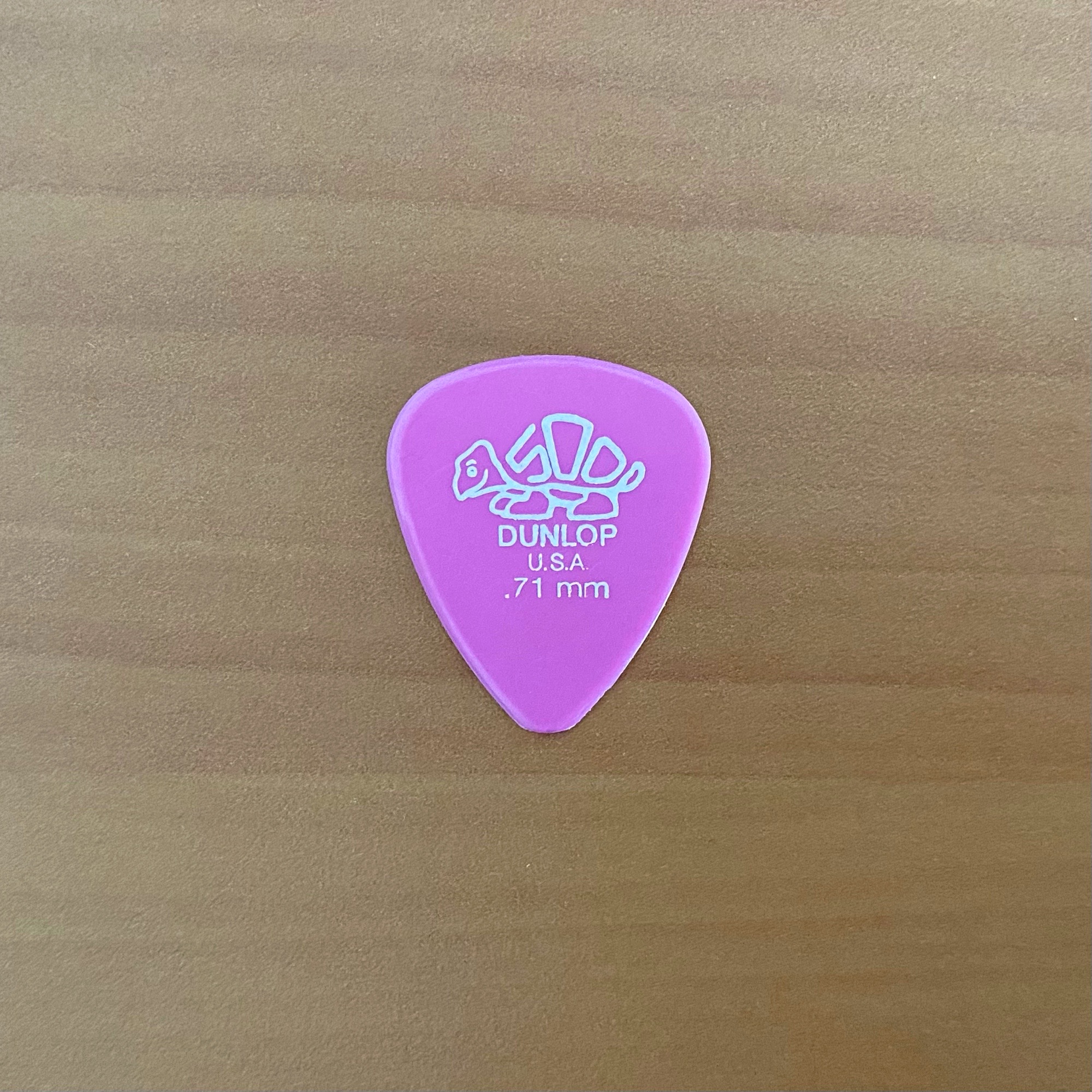 Plectrum