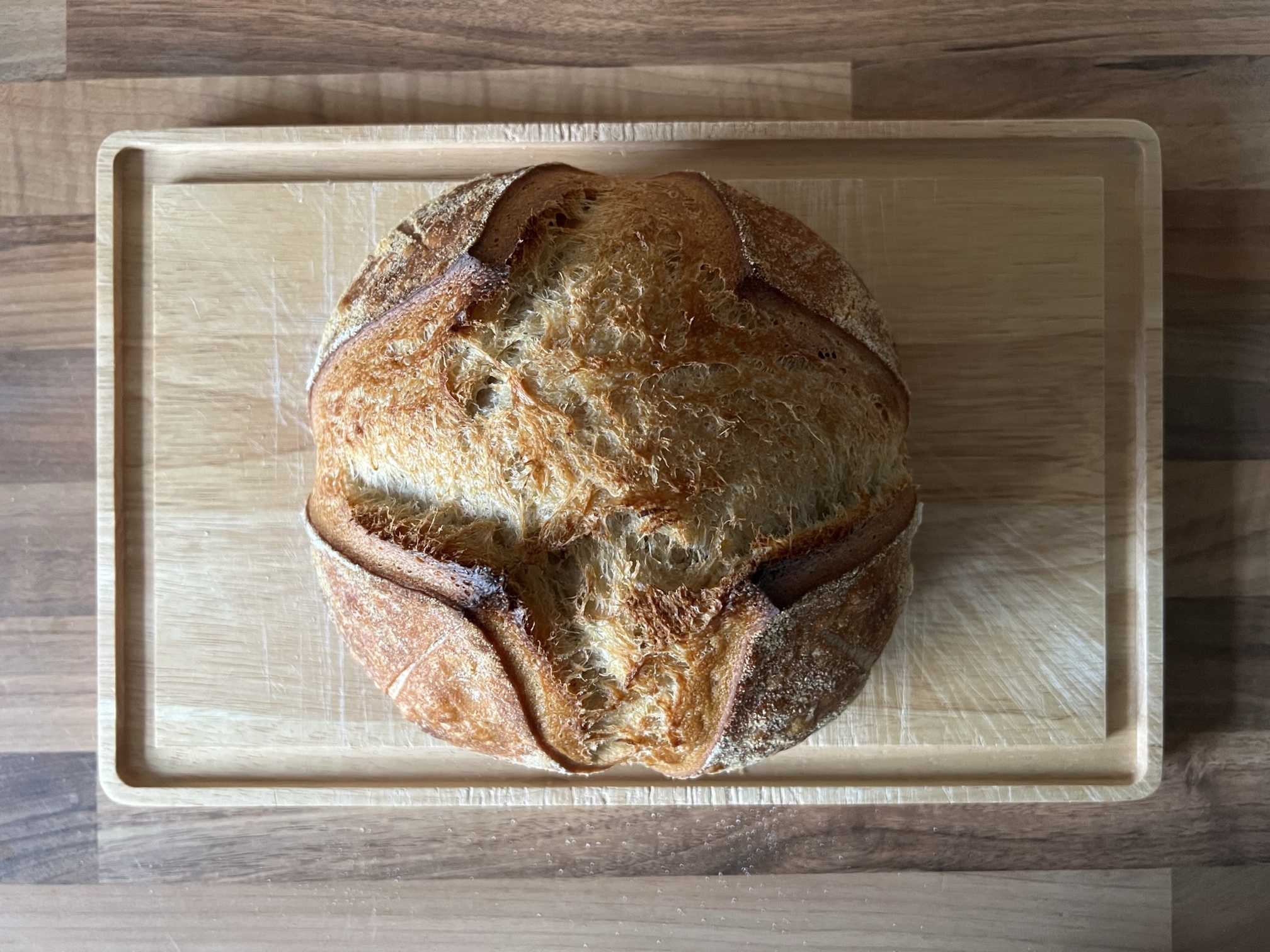 Last Bread 1