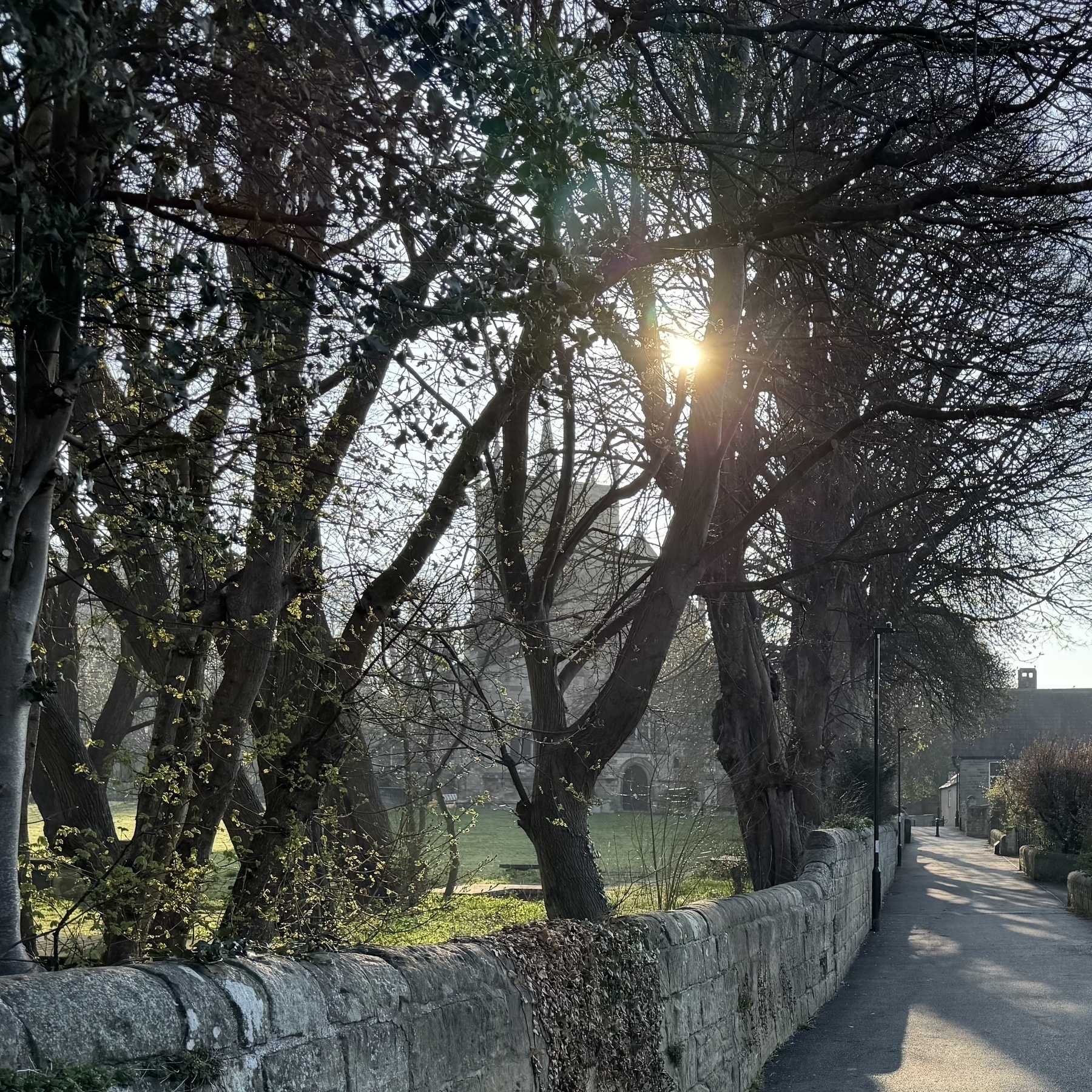 A view of a church through trees with the sun visible in the background. There is a path flanked by bare trees and a stone wall.